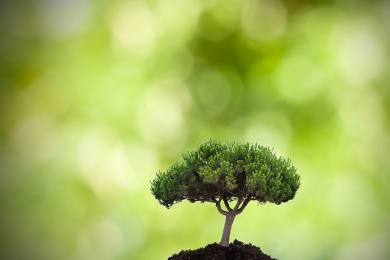 Dia Mundial do Meio Ambiente: o Planeta Terra em modo reset