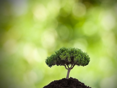 Dia Mundial do Meio Ambiente: o Planeta Terra em modo reset