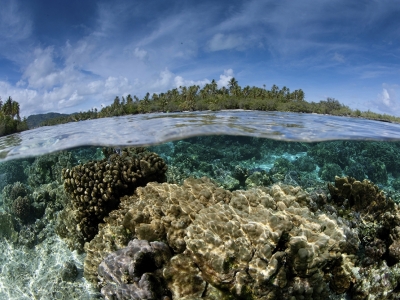 Mineração no mar profundo: quais os possíveis impactos?