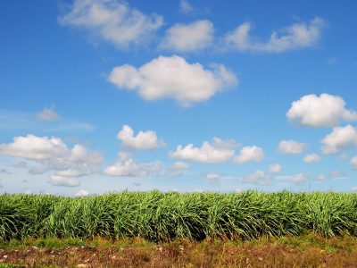 Índice de preços ao produtor foi de 1,94% em julho