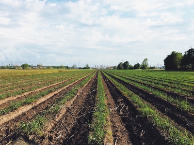 Cosan lucra R$ 942 milhões no 2º trimestre, crescimento de 9 vezes em um ano