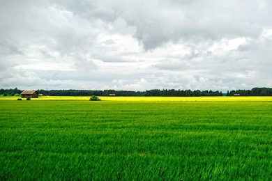 Agricultura está se tornando a nova aposta dos bilionários