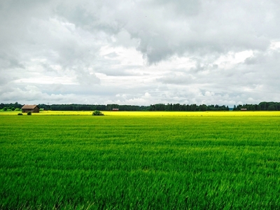 Agricultura está se tornando a nova aposta dos bilionários
