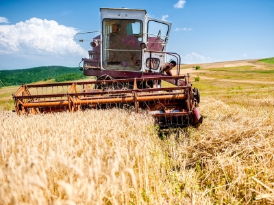 Estimativa de setembro prevê safra de 250,9 milhões de toneladas em 2021