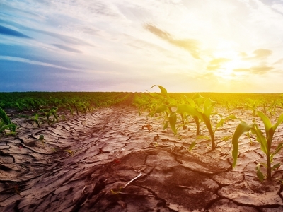 Safra agrícola cai 0,4% em 2021, mas pode ter recorde em 2022