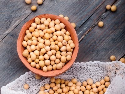 Soja: Mercado brasileiro acompanha altas de Chicago e testa até R$ 2/sc a mais do que na semana anterior