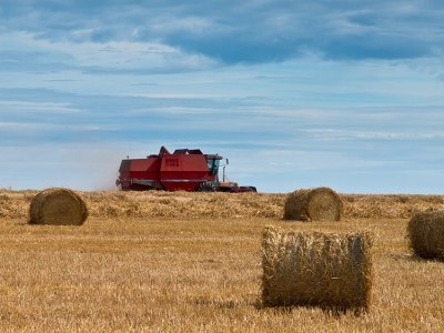 Governo sanciona liberação de recursos para o Plano Safra 2021/2022