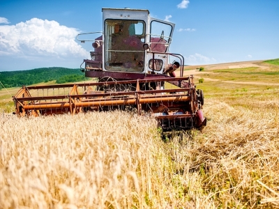 Safra avança no Centro-Sul e as expectativas aumentam quanto à produção