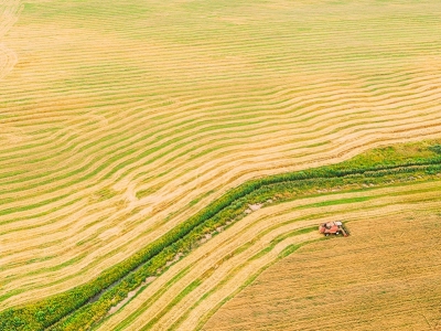 Produtividade de safra de cana do Centro-Sul fica estável em junho ante 2021/22, afirma CTC