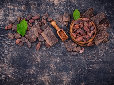 Estudo mostra expansão sustentável do cacau na Amazônia