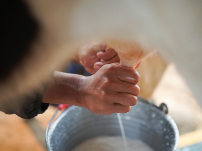 Leite dispara em julho e vai pesar ainda mais no bolso do consumidor