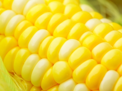 Colheita do milho segunda safra em MT atinge 35,7% da área plantada, diz Imea