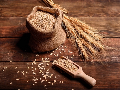 Grão se desvaloriza com queda no preço do óleo de soja