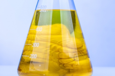 Etanol anidro aumenta 0,71% e hidratado sobe 0,15% nas usinas paulistas na semana