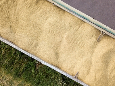 Brasil deve exportar 77,2 milhões de toneladas de soja no ano