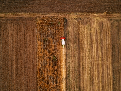 Algodão/MT:Colheita da safra 2021/22 termina mais cedo ante média de 5 anos