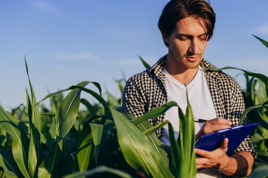 Em ano atípico, balança do agronegócio bate todos os recordes