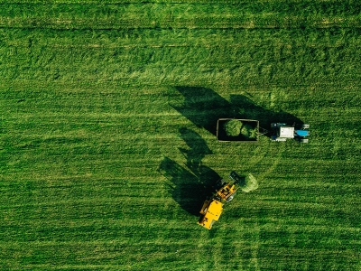 Trigo/RS: Safra evolui bem e lavouras não foram afetadas por geadas