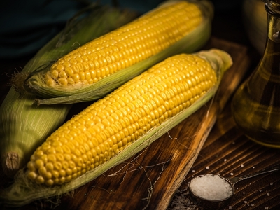 Exportação de milho do Brasil dispara no início de setembro, aponta governo