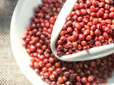 Mato Grosso produzirá 143 milhões de toneladas de grãos em 2032