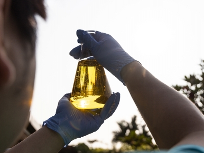 Etanol anidro sobe 4,33% e hidratado avança 2,5% nas usinas paulistas na semana