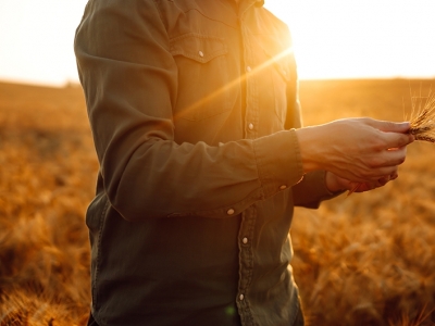 Riqueza do agro torna o Centro-Oeste a meca dos investimetos financeiros