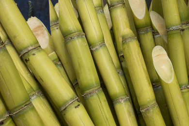 Agronegócio bate recorde de exportações em abril, com US$ 15,24 bilhões
