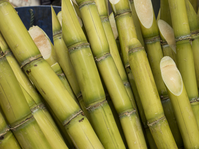 Agronegócio bate recorde de exportações em abril, com US$ 15,24 bilhões