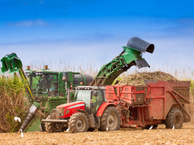 Usinas do CS processam 44,75 milhões de toneladas de cana