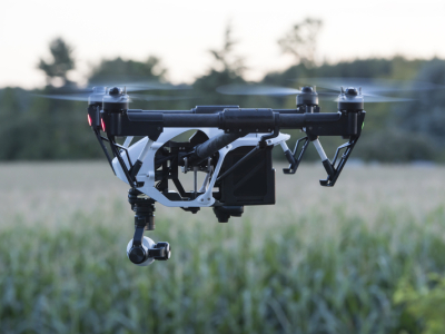 Como e por que a agroindústria precisa investir em IA