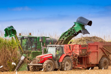 Exportações do agronegócio somam US$ 82,8 bilhões no primeiro semestre de 2024