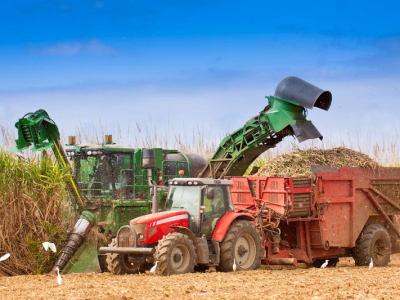 Exportações do agronegócio somam US$ 82,8 bilhões no primeiro semestre de 2024