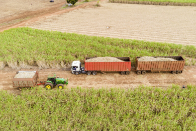Recuperação da moagem avança e safra 24/25 promete crescimento no Nordeste, aponta consultor