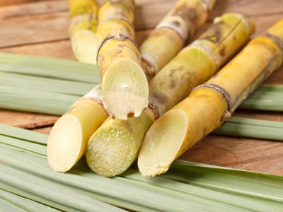 Safra 24/25: AL tem todas as usinas em operação