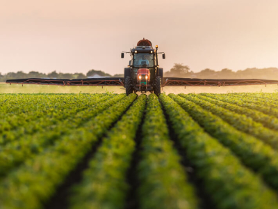 Nova safra de soja pode crescer 14%; atraso por seca preocupa pouco