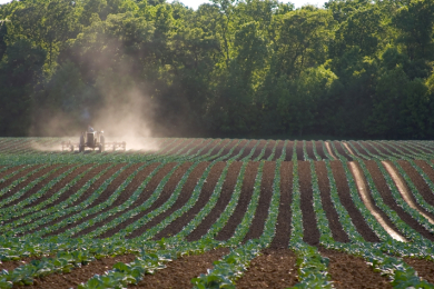 Exportações do Agronegócio Brasileiro Batem Recordes em Março de 2025