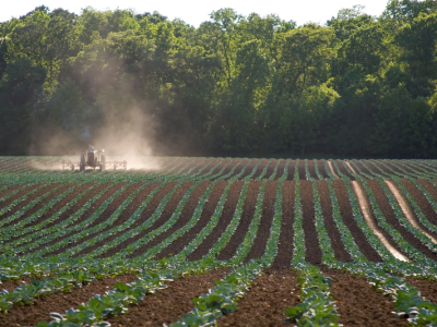 Exportações do Agronegócio Brasileiro Batem Recordes em Março de 2025