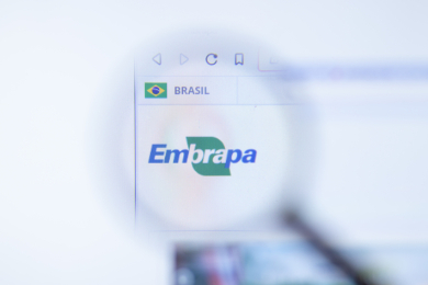 Brasileira que revolucionou a produção de soja com bactérias vence o Prêmio Mundial da Alimentação 2025