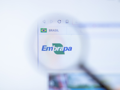 Brasileira que revolucionou a produção de soja com bactérias vence o Prêmio Mundial da Alimentação 2025