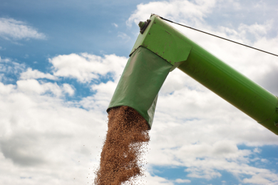 Valor Bruto da Produção agropecuária deve ultrapassar R$ 1,4 trilhão em 2025