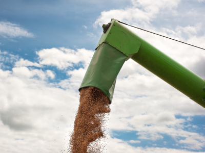 Valor Bruto da Produção agropecuária deve ultrapassar R$ 1,4 trilhão em 2025