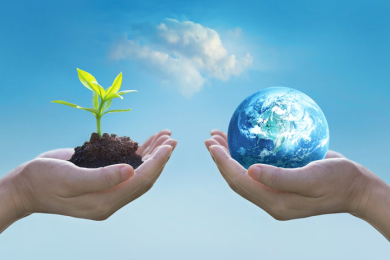 5 de junho: Dia Mundial do Meio Ambiente